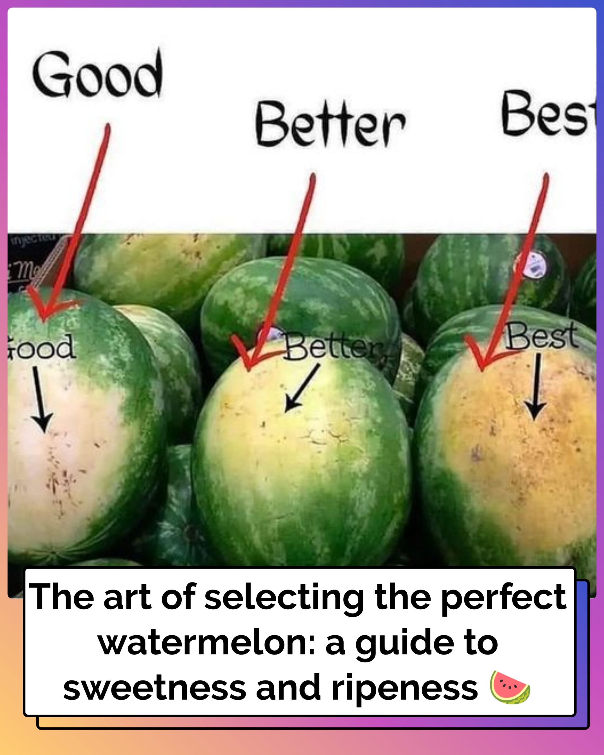 The Art of Selecting the Perfect Watermelon: A Guide to Sweetness and Ripeness