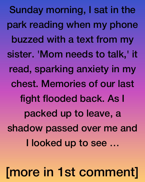 The Park Encounter